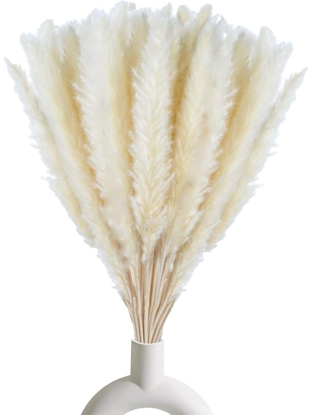 30 Pcs White Pampas Grass ,17 inch/45 cm Natural Dried Pampas Grass Branches Dec